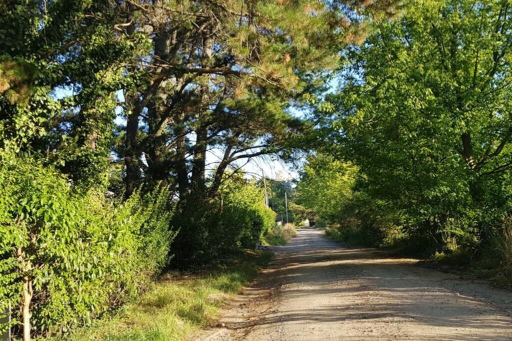 Cabana Los Robles Tandil Kültér fotó